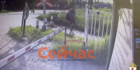 Два грабежа на ж/д платформах раскрыли в Нижегородской области - ИА Нижний сейчас