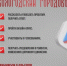Приложением «Вологодский городовой» пользуются уже 36 тыс. жителей региона. - Верховажский муниципальный округ