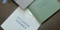 Улан-удэнцы проверяют на вшивость» потенциальных работодателей - ИА Байкал-Daily