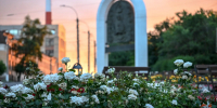 В Курской области 27 июня ожидаются грозы и +26 градусов - РИА Курск