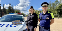 В Ступине полицейские поздравили молодых водителей - Городской округ Ступино