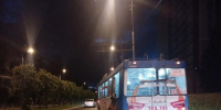 Вчера в Йошкар-Оле в троллейбусе упала пассажирка - Марийская правда