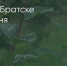Поделитья во ВКонтакте - Братская Студия Телевидения