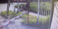 Нижегородские полицейские задержали подозреваемых в двух грабежах на ж/д - НИА Нижний Новгород