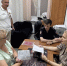 В Сочи продолжает действовать формат «четверок» для решения вопросов граждан - Sochi.Com