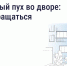 Что делать, если двор заполонил тополиный пух? - Министерство ЖКХ, топлива и энергетики