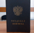 Свыше 166 тысяч жителей Пензенской области перешли на электронные трудовые книжки - ПензаСМИ