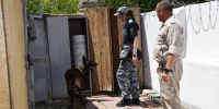 JPG Файл - УМВД России по г. Севастополю