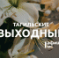 Тагильские выходные топ-7: турнир по армрестлингу, фигуры на траве, молодёжная тусовка, живая музыка, мастер-классы и ярмарки - Между Строк