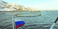 Озера Мурманской области открывают новые перспективы для рыбоводства - Мурманский вестник