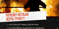 Почему нельзя сжигать траву и к чему это приводит. - Жердевский муниципальный округ