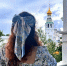 Вологжане рассказывают в соцсетях, почему они остались в родном городе - OnlineVologda.Ru