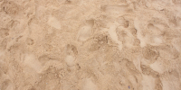 Фото: Multistock/Shutterstock/Fotodom - Красный Север
