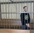 Во Владимире осудят иностранца, помогавшего мигрантам сдавать экзамены за деньги - Progorod33.Ru