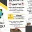 Памятка по профилактике ГЛПС - Воткинский район