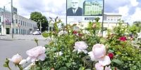 Капризные и нежные красавицы - Курская правда