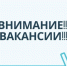 Администрация Далматовского муниципального округа приглашает на работу активных и инициативных граждан.. - Далматовский муниципальный округ