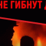 Главная задача взрослых — не допустить трагедии - Газета Парфеньевский вестник