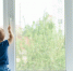 Фото: Oksana Shufrych/Shutterstock/Fotodom - Ямал-Медиа