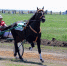 Фото: pnzreg.ru - Penza-Post.Ru