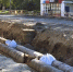 Фото: News29 - News29.Ru