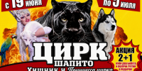 Билеты в цирк по акции 2+1 - Блокнот Волжского