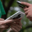 Смартфоны. Фото предоставлено ПАО «МегаФон» - RuffNews.Ru