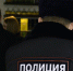 Пьяный воронежец ударил полицейского в лицо и получил год принудительных работ - РИА Воронеж
