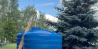 «Газон просто умер». Белгородка пожаловалась на состояние цветников у диорамы и областной администрации - Fonar.Tv
