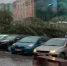 В центре Ростова упало огромное дерево, перегородив проезд - DonDay.Ru