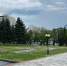 В городском бюджете не нашлось средств на борьбу со златкой - Progorod58.Ru