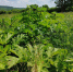 Фото: 64.fsvps.gov.ru - Penza-Post.Ru