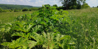 Фото: 64.fsvps.gov.ru - Penza-Post.Ru