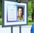 В Нижнем Новгороде открыли Аллею Памяти в честь Героев Советского Союза - Newsroom24.Ru