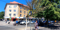 Администрация Калининграда проверит засыхающие клёны на улице Карла Маркса (фото) - Kaliningrad.Ru