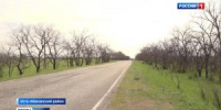 Лето в разгаре, а деревья голые - Вести Хакасия