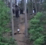 Скриншот видео: Росгвардия - Мой район