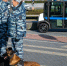 Эксперты назвали наркоситуацию на Южном Урале напряженной, но контролируемой - Южноуральская панорама