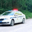 ДТП в Красногородском округе - InformPskov.Ru