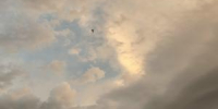 Глава Таганрога объявила об угрозе применения БПЛА по городу 26 июня - DonDay-Taganrog.Ru