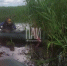 Тело в водоёме в Невельском районе - InformPskov.Ru