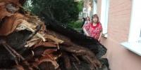 Чудом дерево не рухнуло на жилой дом | Источник: Читатель 161.RU - 161.Ru