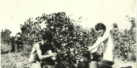 Подборка фотографий из 70-80 годов прошлого столетия - Архивная служба
