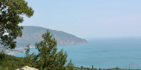 Брянский крымчанин: свет выключают, бензина нет, паники 000 - Газета Брянские новости
