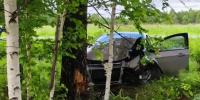 В Челябинской области водитель Ford погиб, врезавшись в дерево - Pchela.News