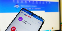 Портал госуслуг в телефоне / Фото: amic.ru - ИА Амител