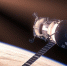 NASA готовит запуск спутника для спасения орбитальной обсерватории Swift - M24.Ru