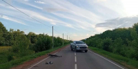 В Оренбуржье 10-летний велосипедист попал под колеса внедорожника - ProOren.Ru