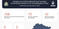 Над Курской областью за прошедшие сутки сбито 108 украинских беспилотников - Городские Известия
