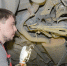 авто - Noyabrsk-Inform.Ru